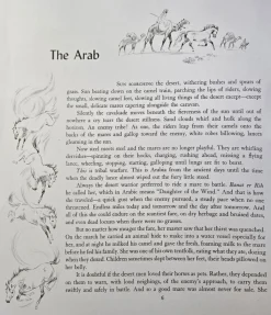 Album of Horses Book