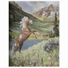 Album of Horses Book & Arabian Horse Gift Set