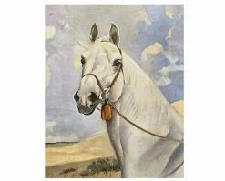 Album of Horses Book & Arabian Horse Gift Set