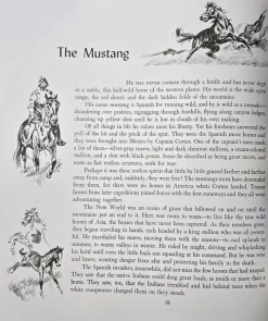 Album of Horses Book & Arabian Horse Gift Set