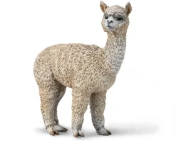 Alpaca