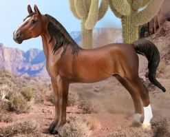 American Saddlebred Stallion | Bay