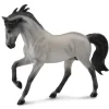 Andalusian Stallion | Grey