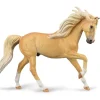Andalusian Stallion | Palomino