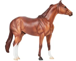 Apollitical Jess | American Quarter Horse Sprinter