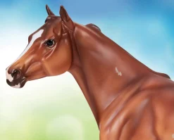 Apollitical Jess | American Quarter Horse Sprinter