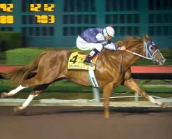 Apollitical Jess | American Quarter Horse Sprinter