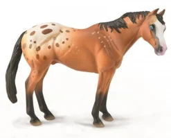 Appaloosa Stallion | Bay Blanket