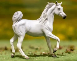 Arabian Mare | Grey