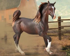 Arabian Mare | Liver Chestnut