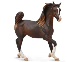 Arabian Mare | Liver Chestnut