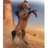 Arabian Stallion Rearing | Bay