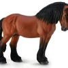 Ardennes Stallion | Bay
