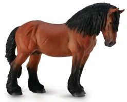 Ardennes Stallion | Bay