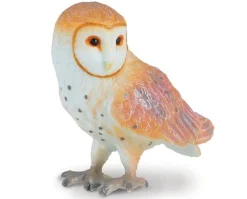 Barn Owl