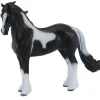 Barock Pinto Stallion