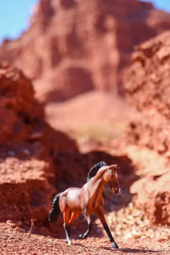Bay Thoroughbred Mare