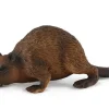 Beaver