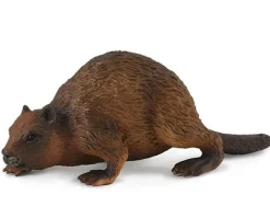 Beaver
