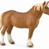Belgian Mare | Chestnut