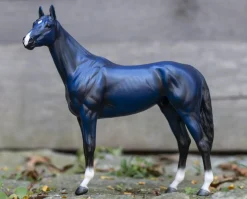 Big Lex | Decorator Thoroughbred