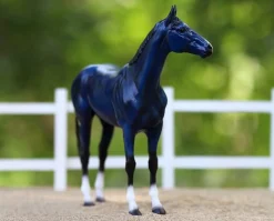 Big Lex | Decorator Thoroughbred