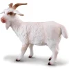 Billy Goat