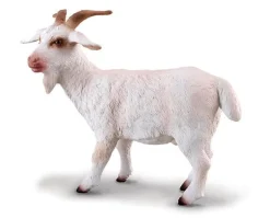 Billy Goat