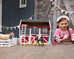 Birthday at the Barn
