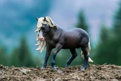Black Forest Horse Stallion