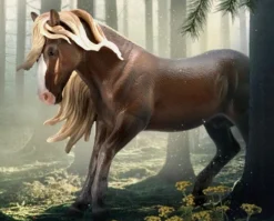 Black Forest Horse Stallion