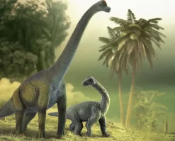 Brachiosaurus