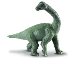 Brachiosaurus Baby