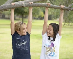 Breyer Wild Spirit Mustang T-Shirt