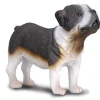 Bulldog