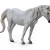 Camargue