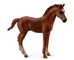 Chestnut Thoroughbred Foal - Standing