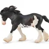 Clydesdale Stallion | Black Sabino