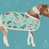 Cuddles | 2025 Pony for Christmas
