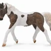 Curly Horse Mare