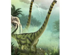 Daxiatitan