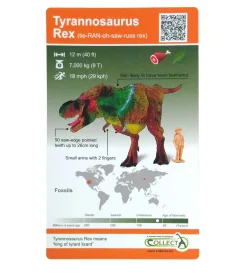 Dinosaur Individual Blind Bag with AR Feature