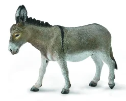 Donkey