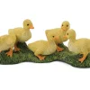 Ducklings