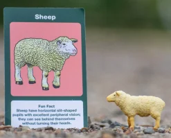 Farm Blind Bags | Individual Blind Bag