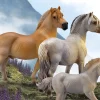 Fjord Stallion | Brown Dun