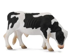 Friesian Bull