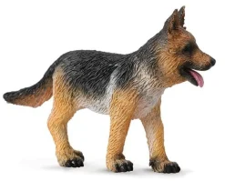 German Shepherd Puppy