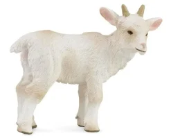 Goat Kid