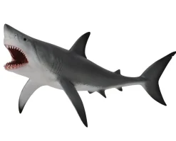 Great White Shark